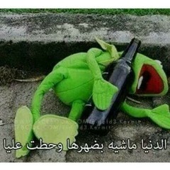 احمد شبيه .. انا مش هفية ماشي؟