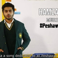Meri Maa - Hamza Malik