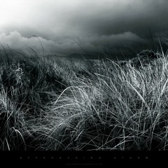 Vitor Munhoz, Slop - Resynth [Preview]