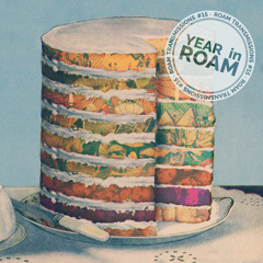 Year In ROAM