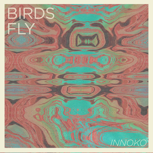 Birds Fly