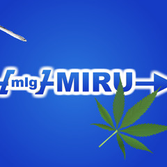 Mlgmiru (TO WATCH THE VIDEO CLICK THE BUY LINK)