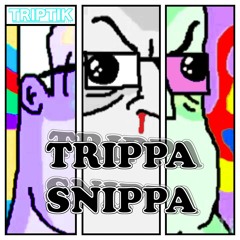 Triptik - Trippa Snippa (Original Mix)