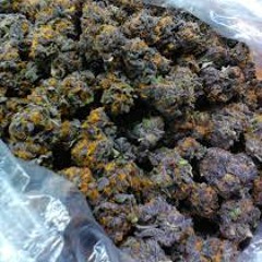 RichNiggashit (PROD.BY A1DIEGO)