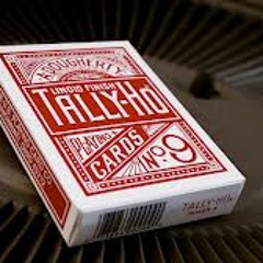 Tally-Ho (American Muscle)