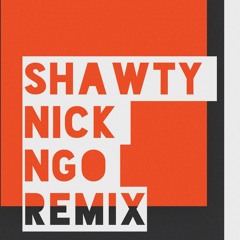 Shawty | T-Pain | Nick Ngo Remix