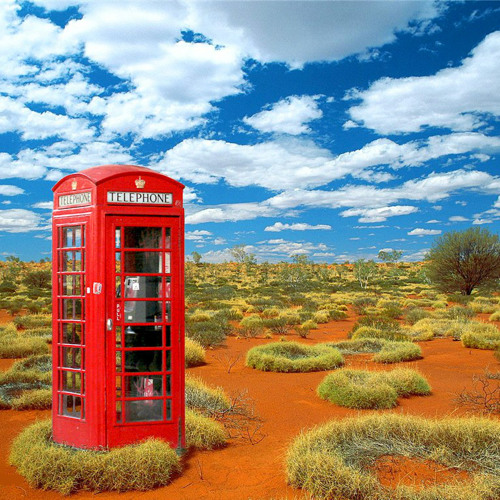 Purple cellist of the orange lake