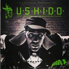 Bushido feat Billy13-Bushido (VBBZS)