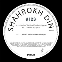 Shahrokh Dini - Bechno (Michael Reinboth Remix)