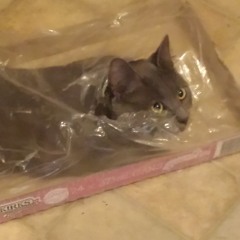 Boof's Melodic Rhythmic Beat