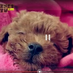 Sinabayan ko ang Thinking out loud :)