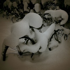 Snowman (melt me away)