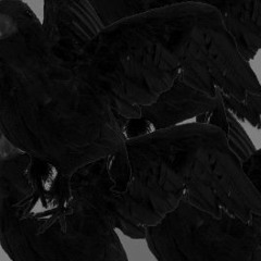 ALBZ'PEL - BlackCrow