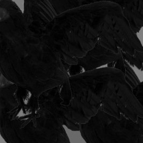 ALBZ'PEL - BlackCrow