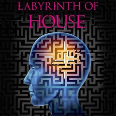in coop. with TerjeSprett & LineDenFine - Labyrinth Of House