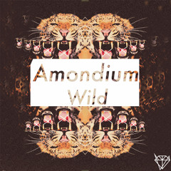 Amondium - Wild (Original Mix)
