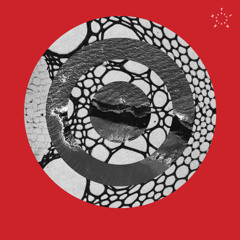 Movement Detroit 2015