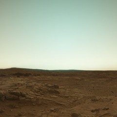 A Place Where Animals Come To Scream!AAAA!!!!