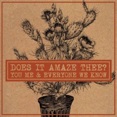 You, Me, And Everyone We Know - Does It Amaze Thee?