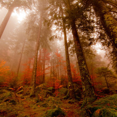 A Forest  - The Cure (Dave Brine first mix)