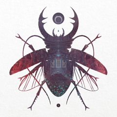 Curious Detail - Early Call - FREE DOWNLOAD (The Big Bug - 2014)