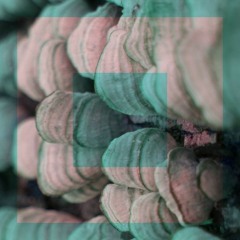 Error Saving Track [SAYTH + WEALTHY RELATIVE + SLEEPY E] *gay bby remixxx*