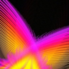 Petit Papillion----PJSD