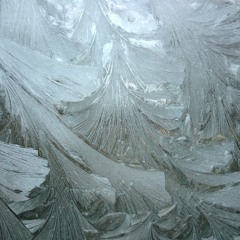 for now I am winter