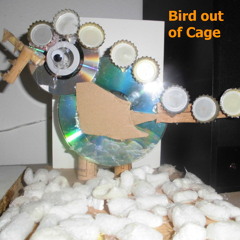 Dizzy Disco - Bird out of Cage