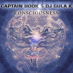 Captain Hook & DJ Gula K - Consciousness (Original Mix)