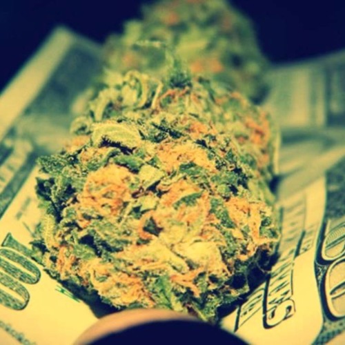 Kush N Money