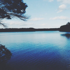 Move Like Water (Made Like Metal)