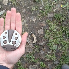 nusquam nostra - window