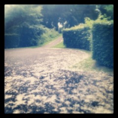 Baby Don't bite your tongue (xmassy version)