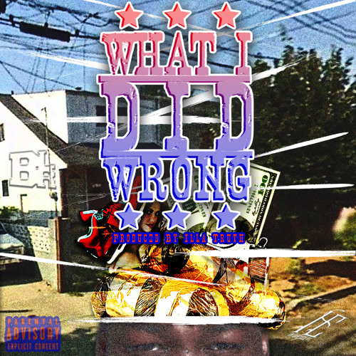 What I Did Wrong
