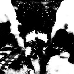 Life Of Disdain ROUGH DEMO