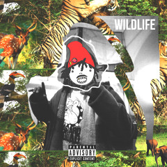 Wildlife Produced By. Alex Oka