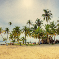 Wasted Days - The Slackers Cover