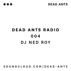 004 - DJ Ned Roy: All Vinyl Set