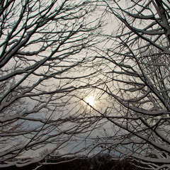 for whom the ice tolls [disquiet0157-icemusic2015]