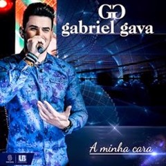 Gabriel Gava - Número Privado