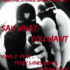 Say What You Want - A$G