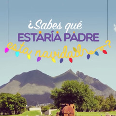 Spot Navideño Parque Fundidora 2014