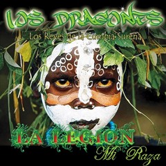 LOS DRAGONES CORAZON DE PIEDRA