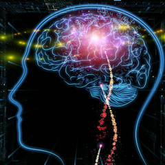 Thoughts From The Head