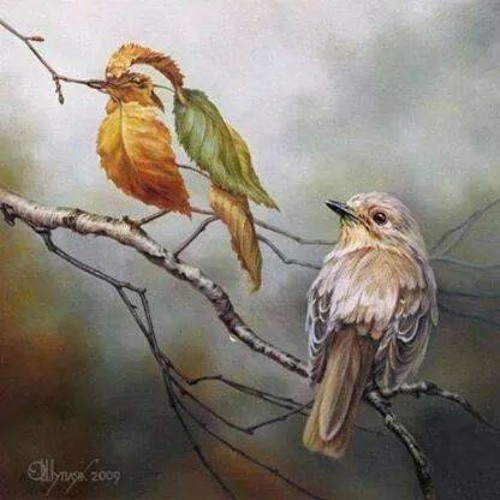 مثنوی _پریسا