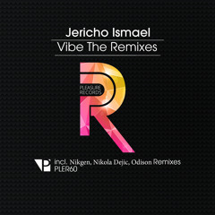 PLER60 Jericho Ismael - Vibe (Nikola Dejic Remix)