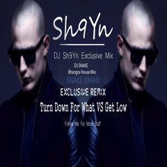 Turn Down For What Vs Get low (Mashup) - Sh9yn