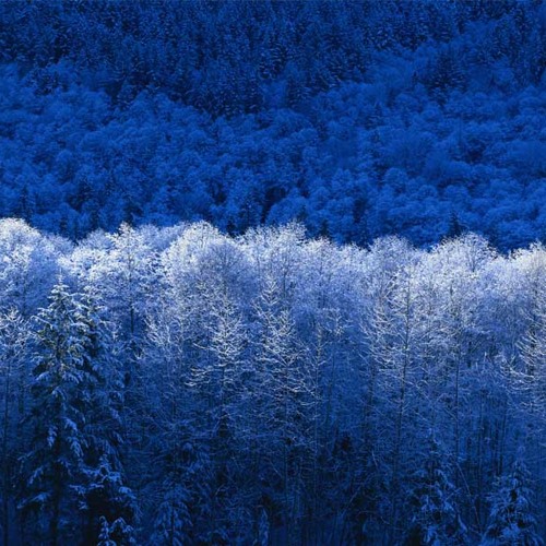 Autumn's End - And Die