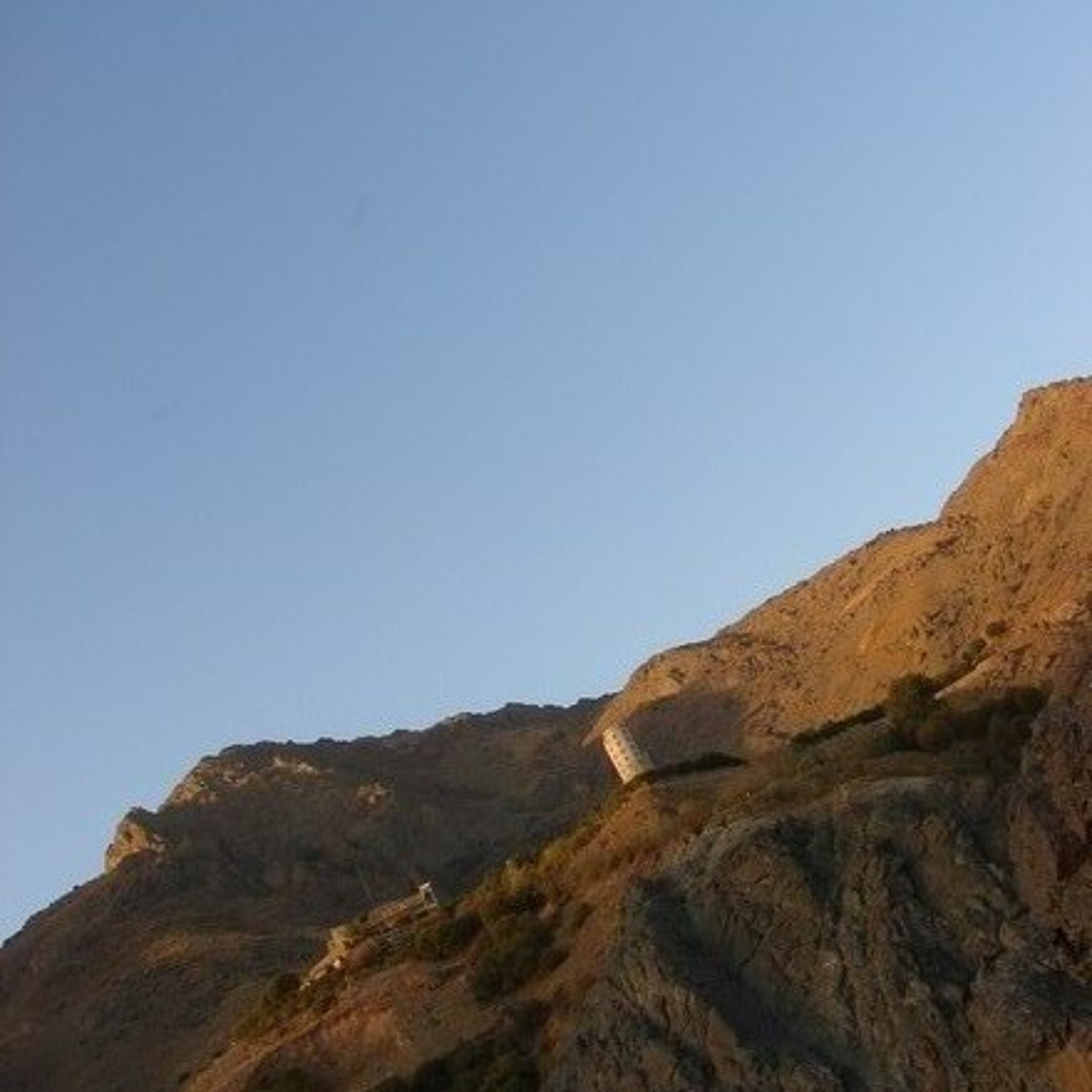 Milad Farzaneh